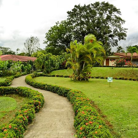 Termales Del Bosque & Hot Springs Hotel La Marina Exterior foto