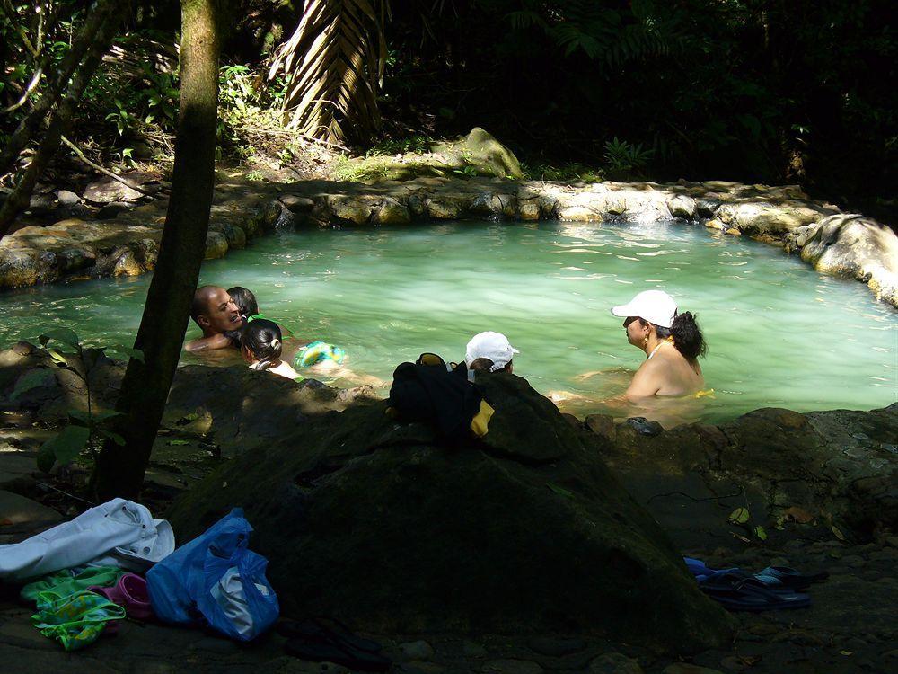 Termales Del Bosque & Hot Springs Hotel La Marina Exterior foto