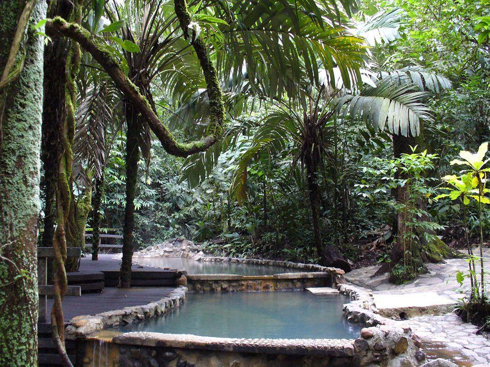Termales Del Bosque & Hot Springs Hotel La Marina Exterior foto
