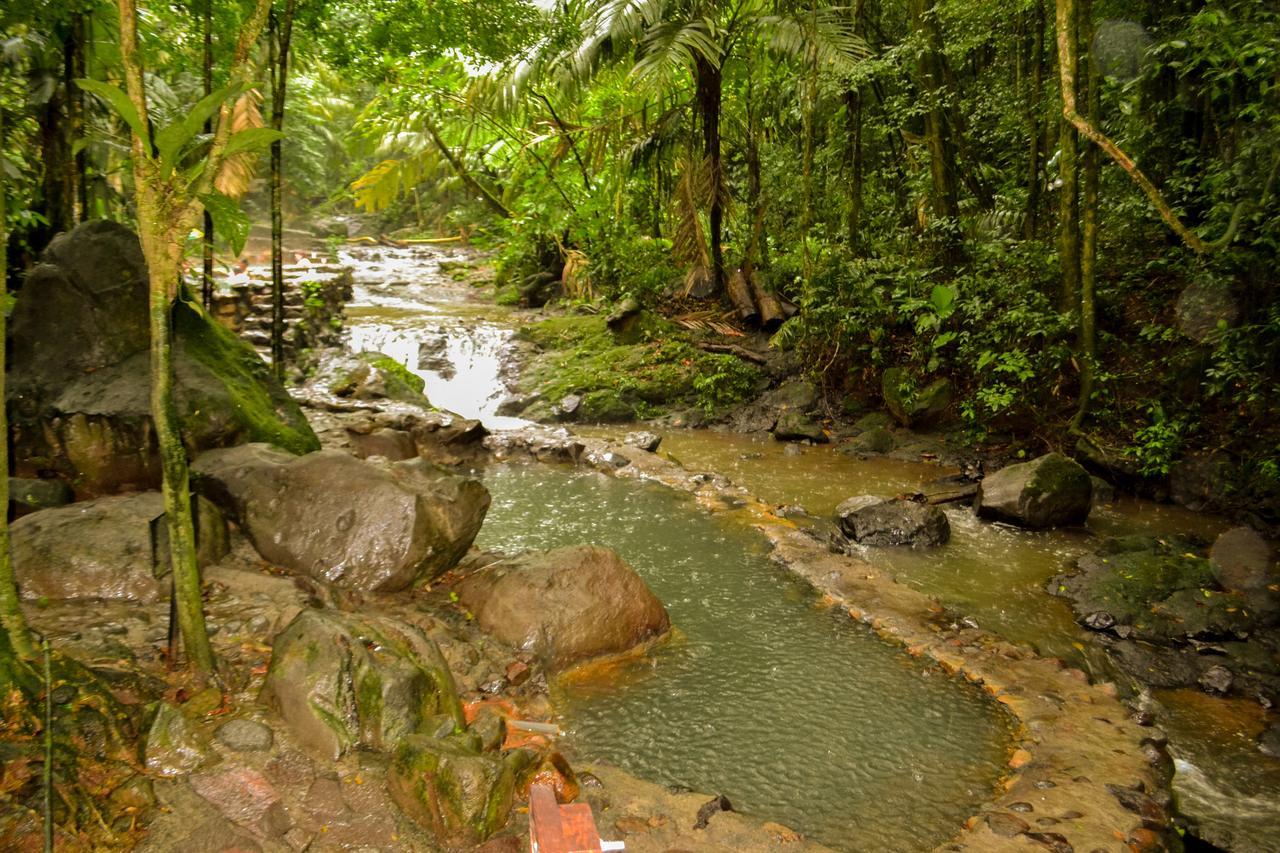 Termales Del Bosque & Hot Springs Hotel La Marina Exterior foto